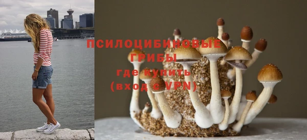 мет Корсаков