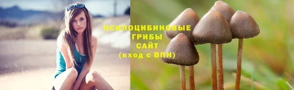 мет Корсаков