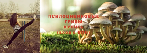 mdpv Костерёво