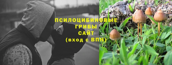 каннабис Коряжма